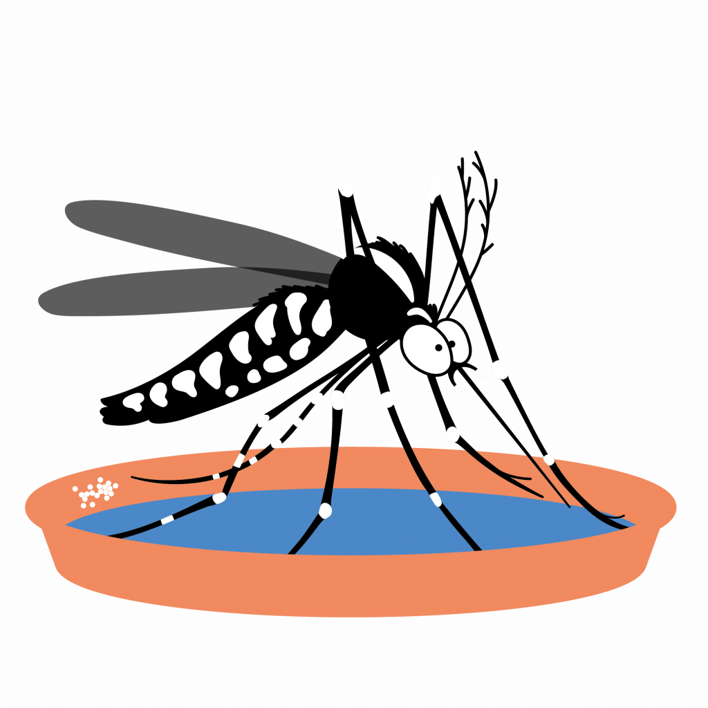 logo moustique tigre