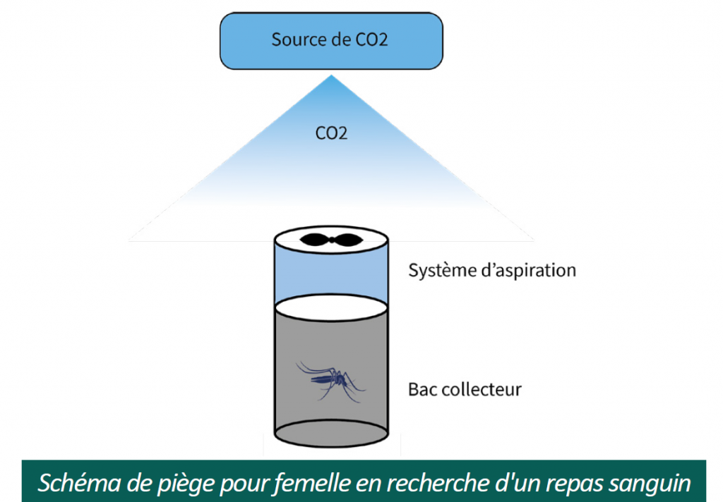 Schéma-piège-CO2