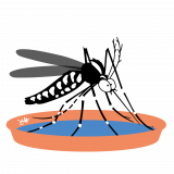 logo moustique tigre